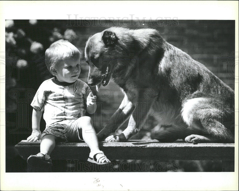 1990 Press Photo Animal Rescue League  Abandoned Dog - Historic Images