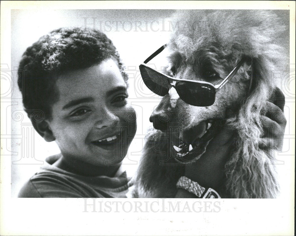 1990 Press Photo Poodle Dog Breed  - Historic Images