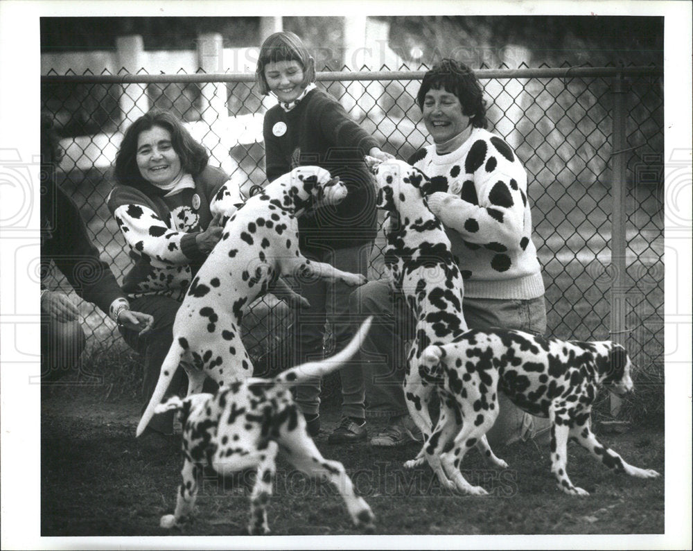 1996 Press Photo Dalmatian Dogs Helen Pauline Kennels - Historic Images