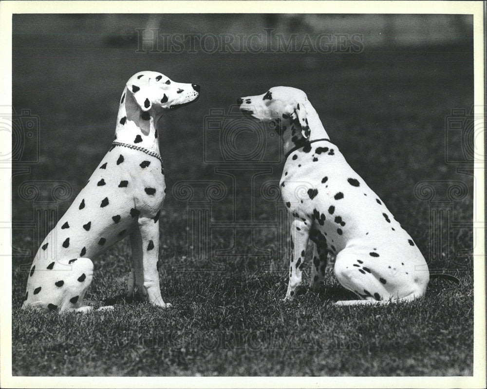 Press Photo Dogs Dalmatians - Historic Images