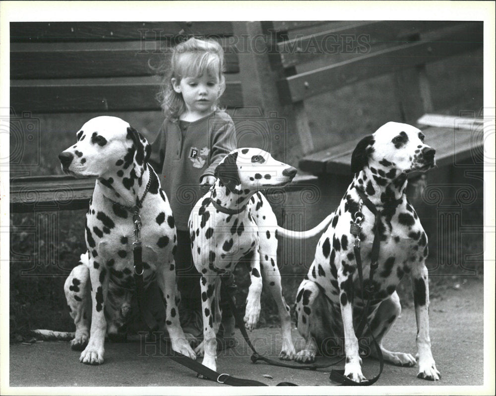 1996 Press Photo Hannah Byers Makes Dalmatian Friends - Historic Images