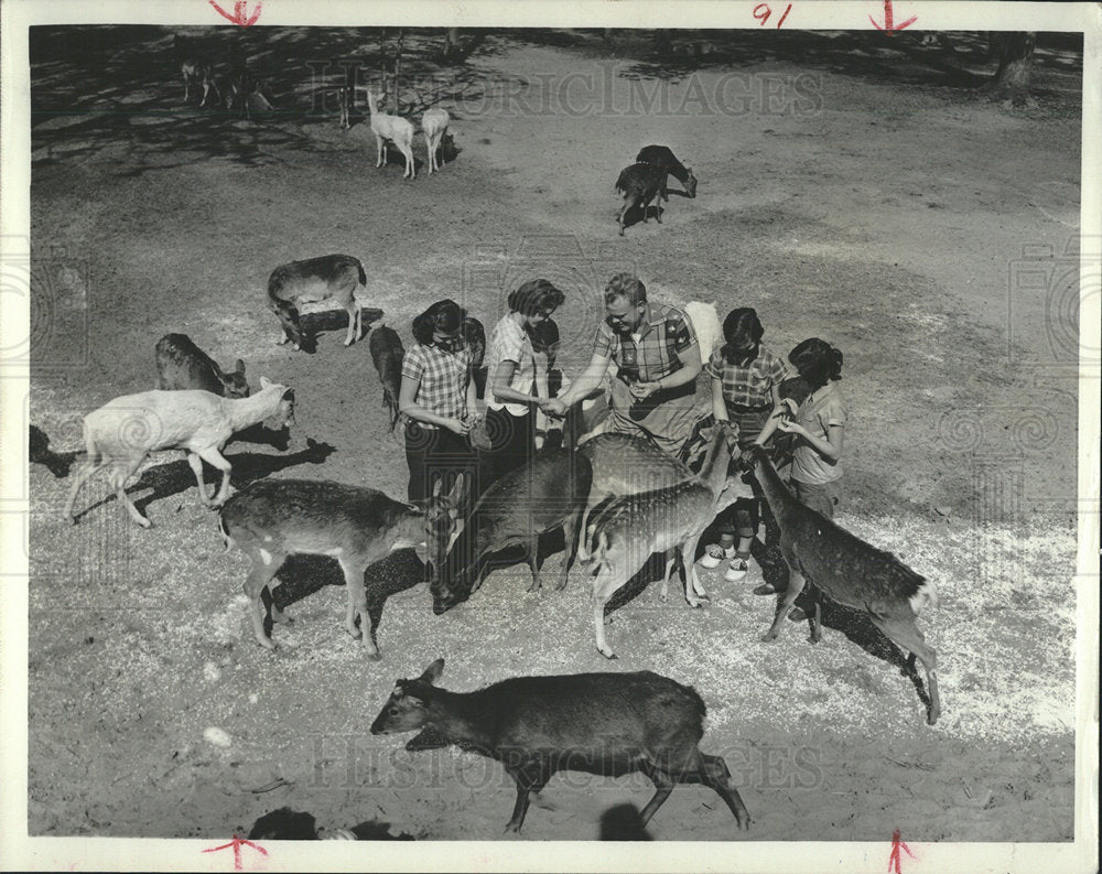 1963 Press Photo Tommy Bartlett Deer Banch Silver  - Historic Images