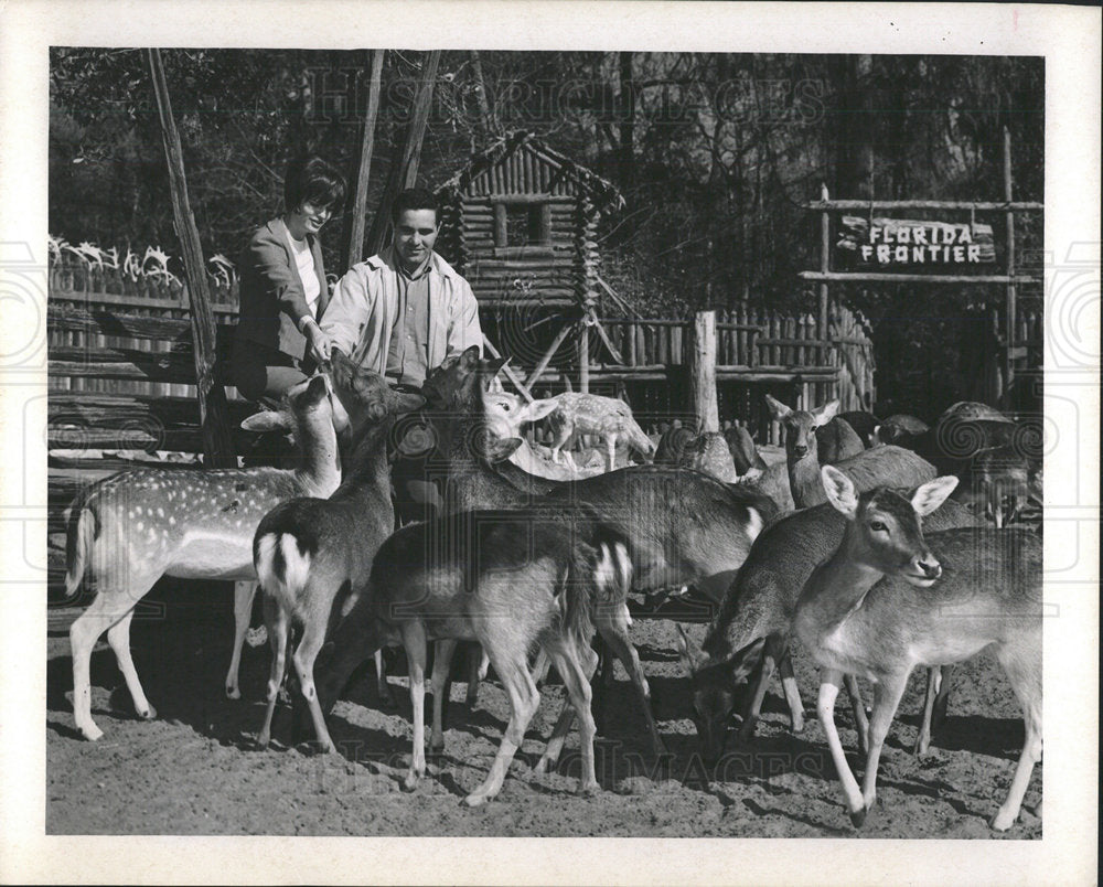 1968 Press Photo International Deer Ranch Florida Feed  - Historic Images