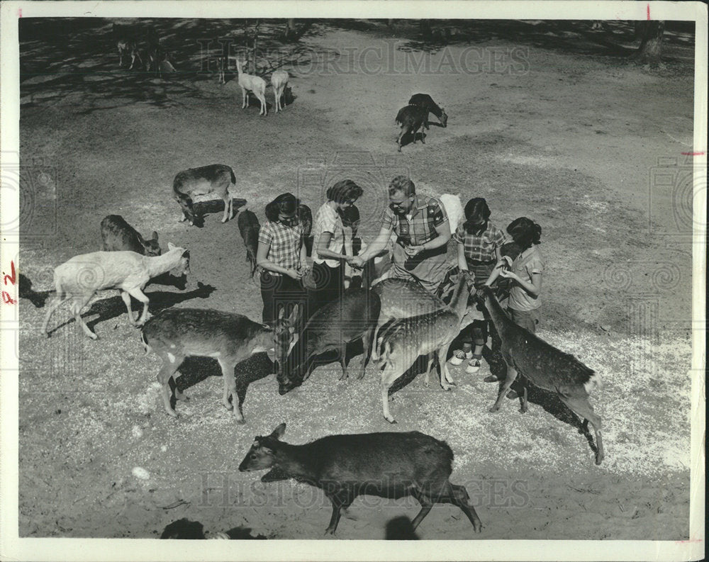 1963 Press Photo Tommy Bartlett Deer Banch Silver   - Historic Images