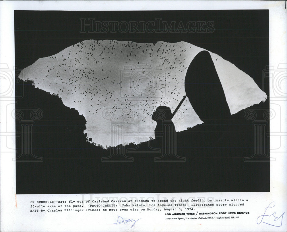 1974 Press Photo Carlsbad Caverns National Park NM - Historic Images