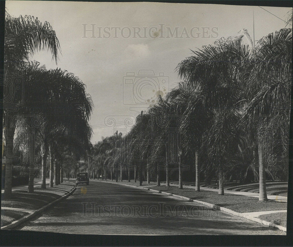 1940 Press Photo Florida Streets - Beautification - Historic Images