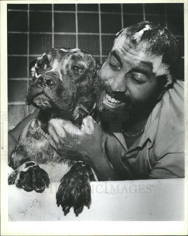 1988 Press Photo McKay Nikki little sudsing mastiff  - Historic Images