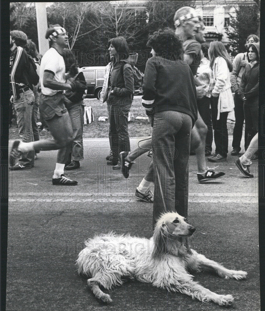 1978 Press Photo Russian Wolfhound dog Marathan  - Historic Images