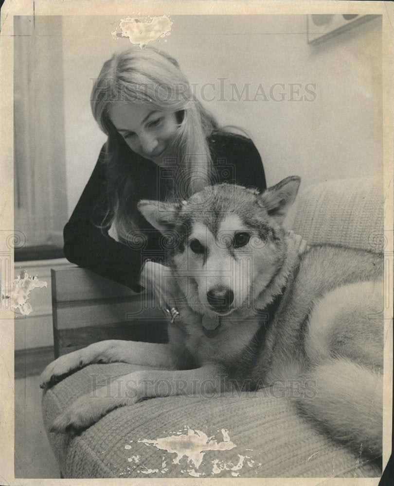 1972 Press Photo Huskies Dogs - Historic Images