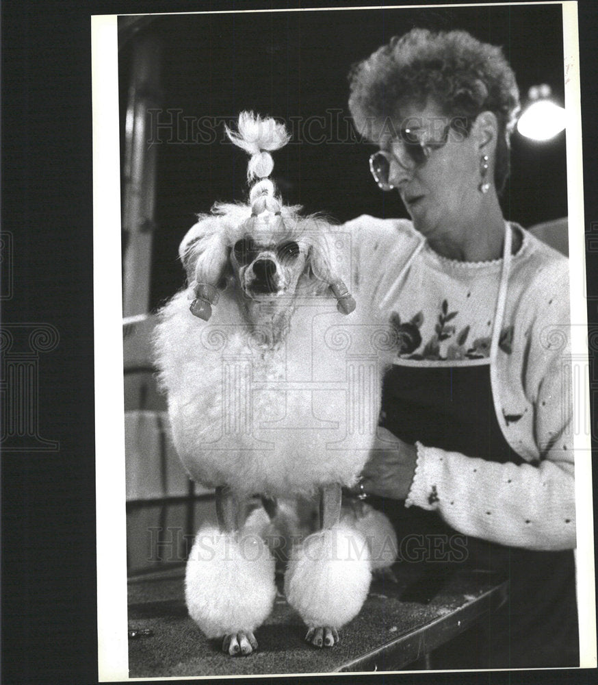 1995 Press Photo Lynn DeRoso Toy Poodle Ruby Dog Show - Historic Images