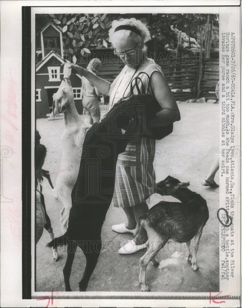 1967 Press Photo Mrs Gladys Lyon Atlanta Goat Spring  - Historic Images