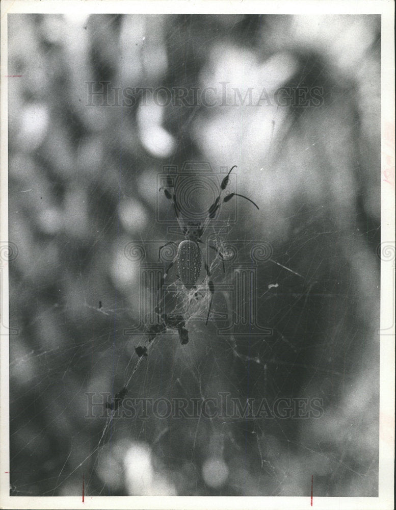 1967 Press Photo Ft De Solo Park Folksy Sandy Beacj  - Historic Images