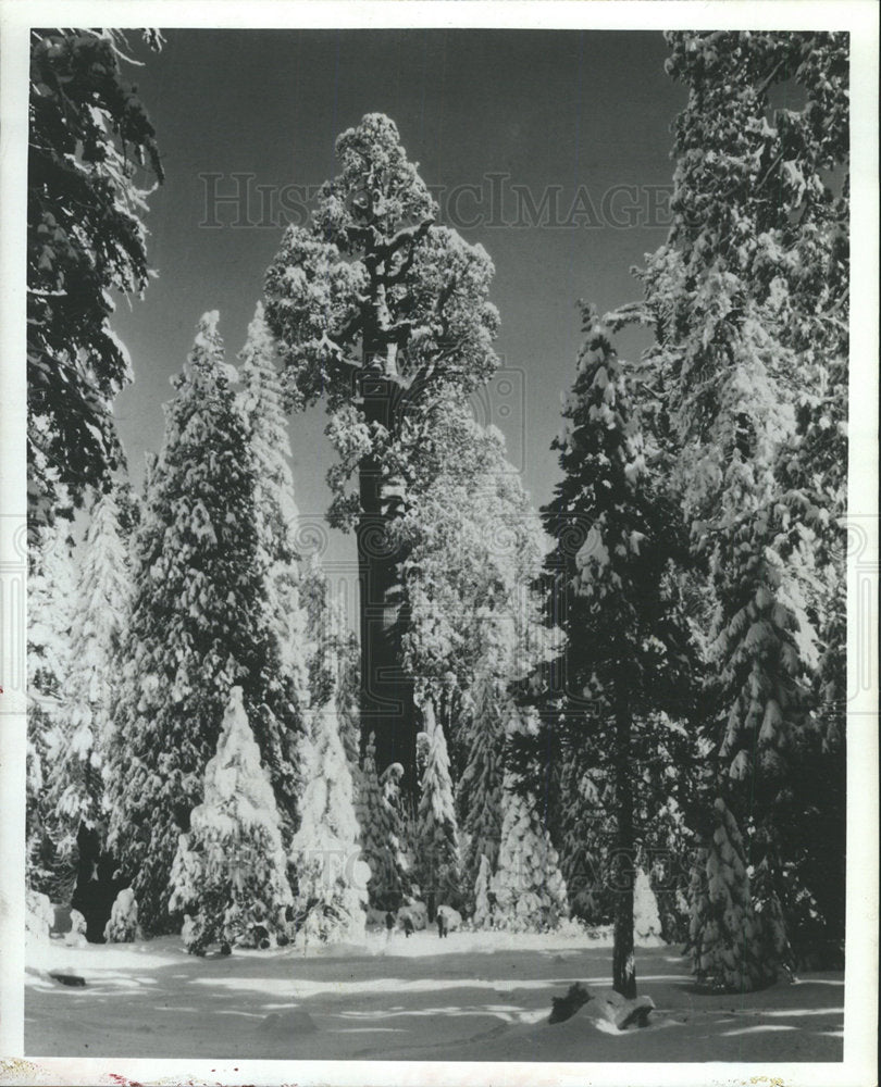 1970 Press Photo Winter Beauty King Canyon National  - Historic Images