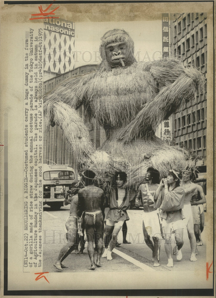 1975 Press Photo Costumed students parade Tokyo gorilla - Historic Images