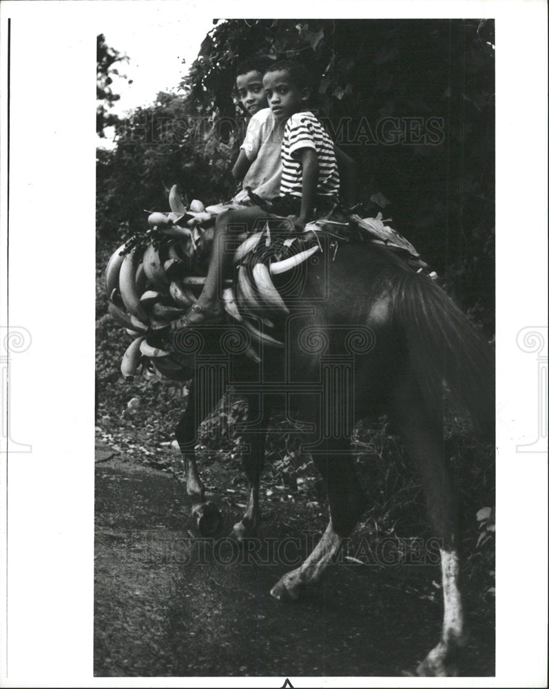 1985 Press Photo Children Horseback Dominican Republic - Historic Images