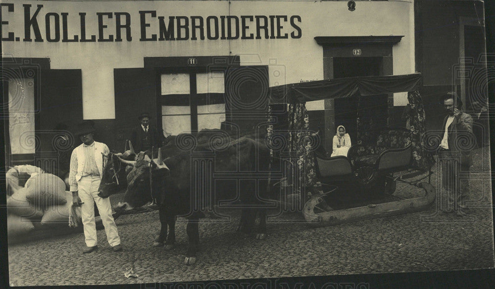 Press Photo Sled Carriages Drawn by Oxen - Historic Images