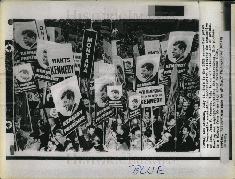 1960 Press Photo Blue Seperation Print Democratic Conve - Historic Images