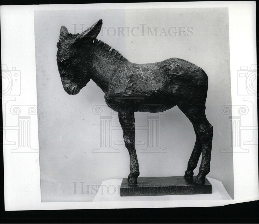 1995 Press Photo Detroit Institute Arts Donkey - Historic Images