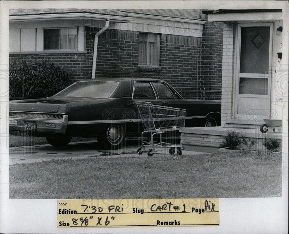 1973 Press Photo Abandoned Shopping Carts - Historic Images