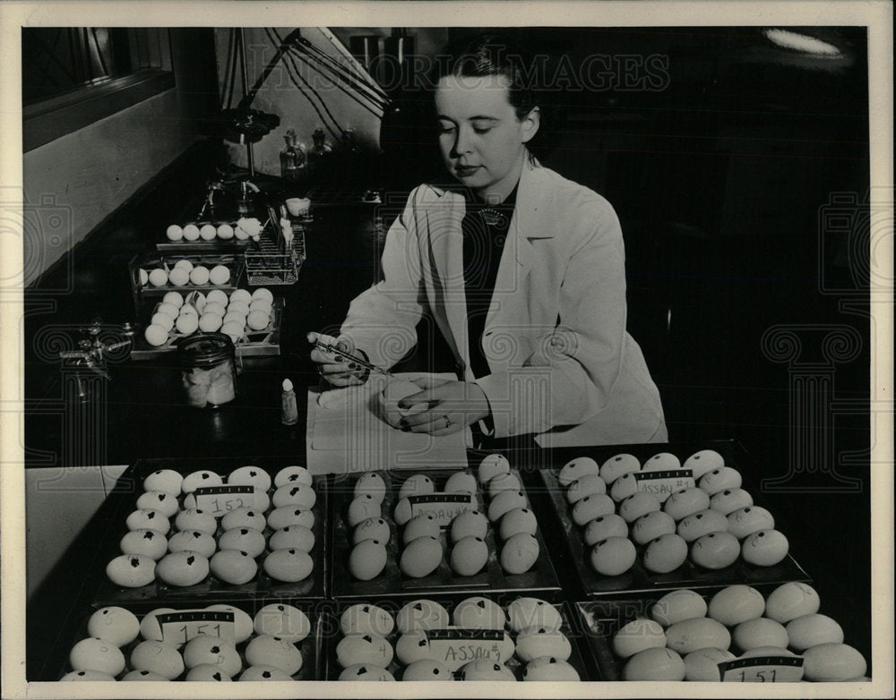 Press Photo A Woman At Work - Historic Images