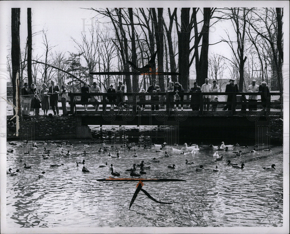 1962 Press Photo Feeding Ducks Palmer Park Detroit MI - Historic Images