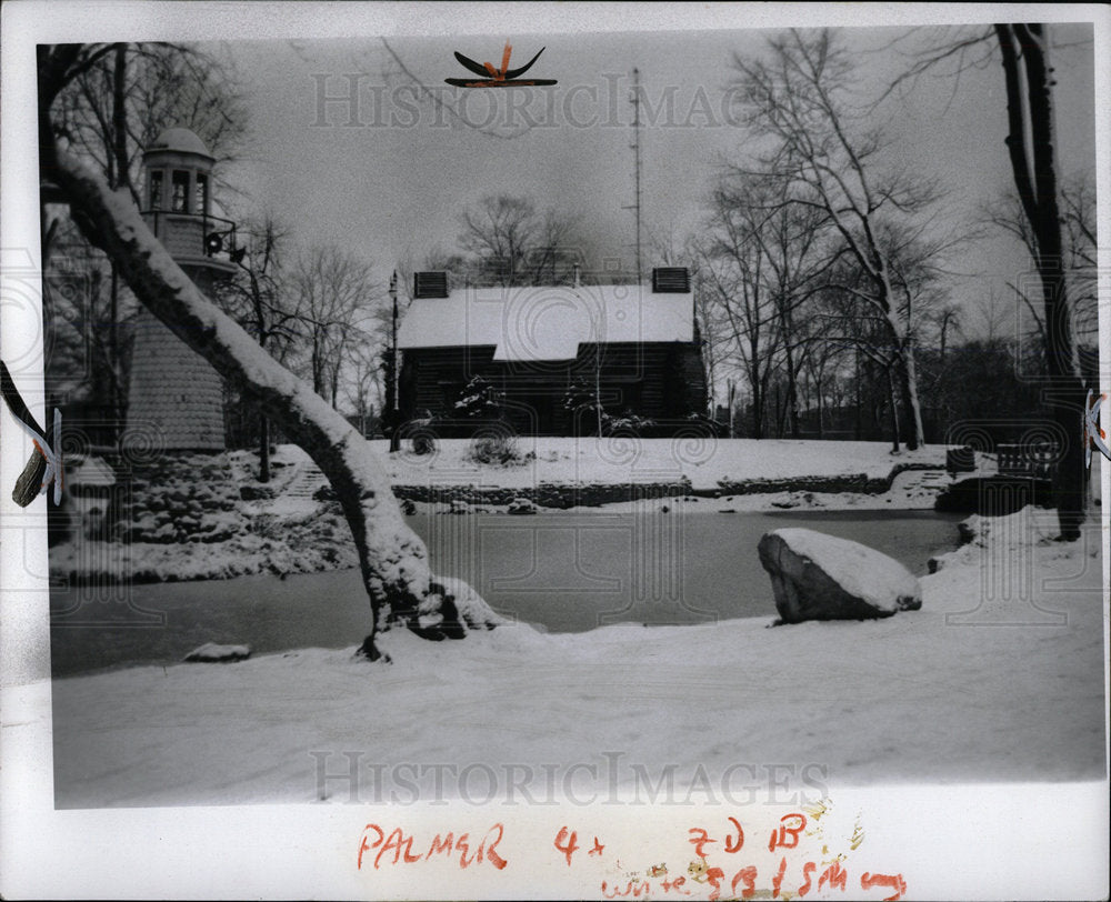 1973 Press Photo Detroit Chinstraps Acener Palmer Park  - Historic Images
