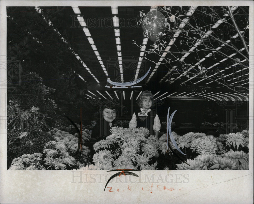 1966 Press Photo Builders Home Furn Flower Show Chicago - Historic Images
