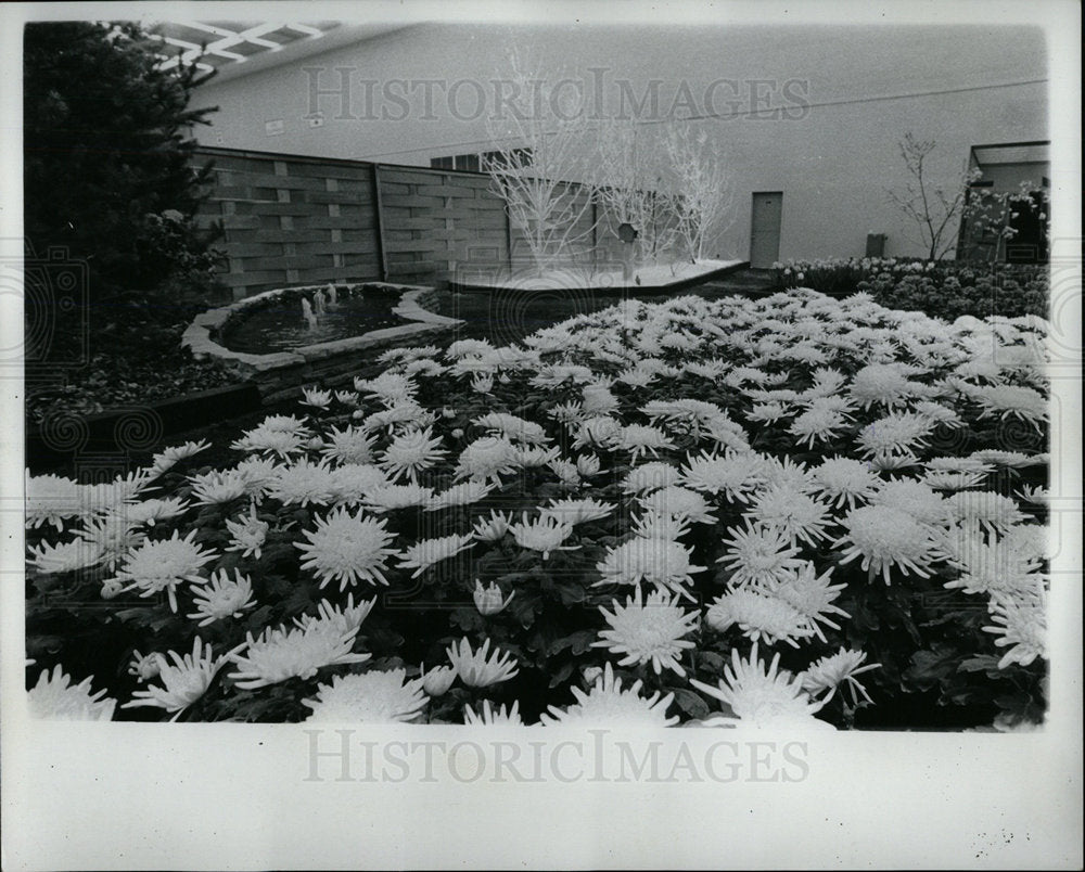 1972 Press Photo Furniture Garden show Cobo Hall Det  - Historic Images