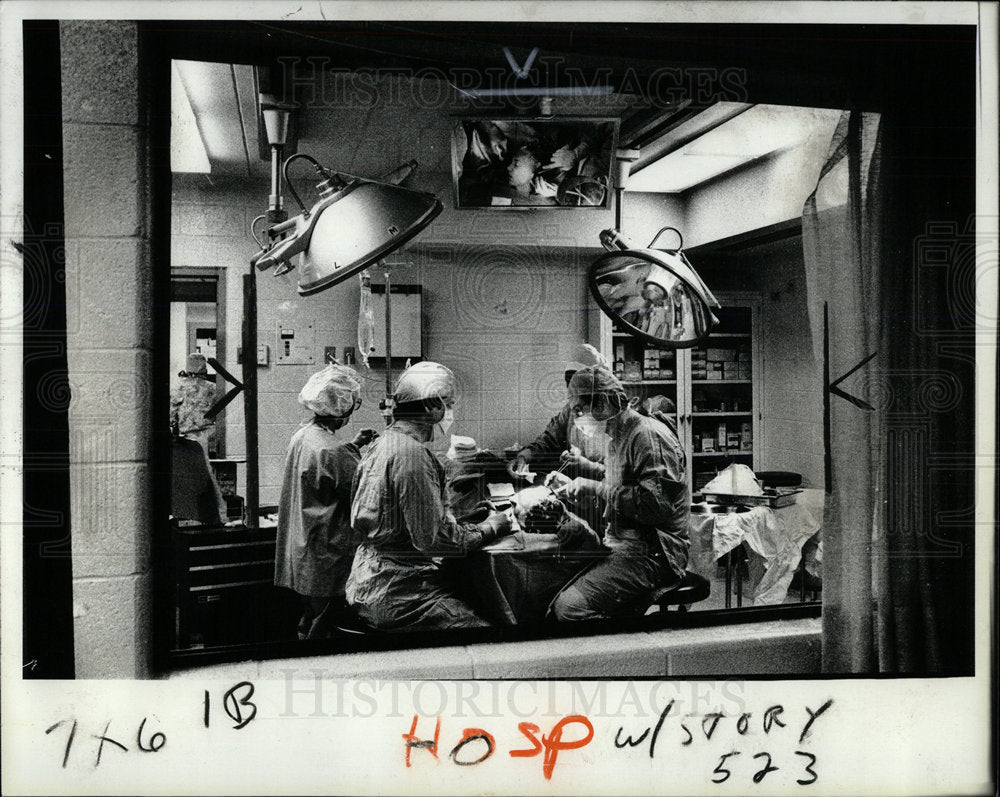 1981 Press Photo Detroit Straith Memorial Hospital  - Historic Images