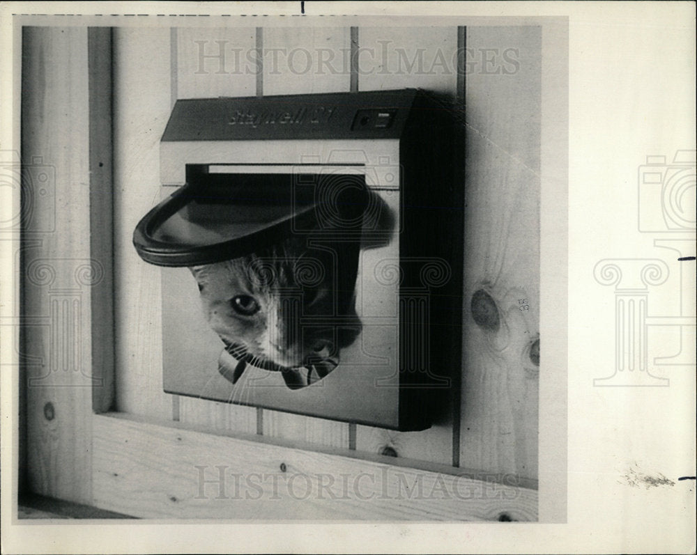 1986 Press Photo Hammacher Schlemmer Cat Doors   - Historic Images