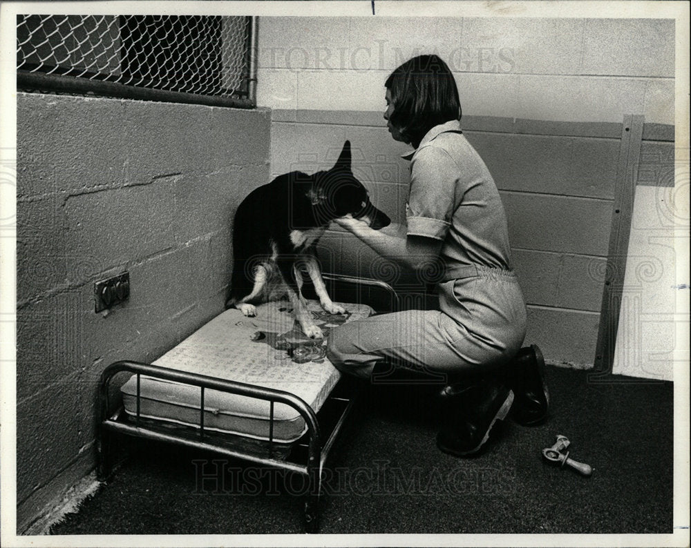 1978 Press Photo American Pet Motel Prairie View  - Historic Images