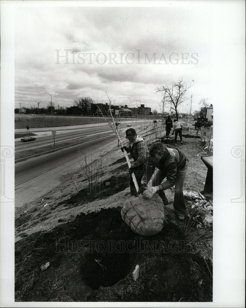 1988 Press Photo Tree Plant Wayne Oakland Lodge Freeway - Historic Images
