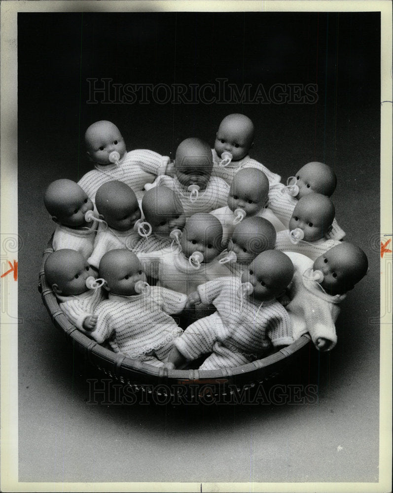 1984 Press Photo Basket Bable Little Rubble doll  Oak - Historic Images
