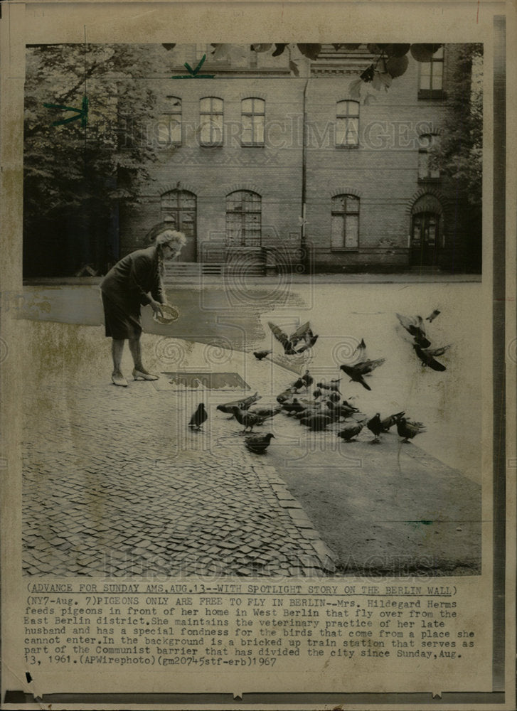 1967 Press Photo Hildegard Merms Pigeons Berlin Wall - Historic Images