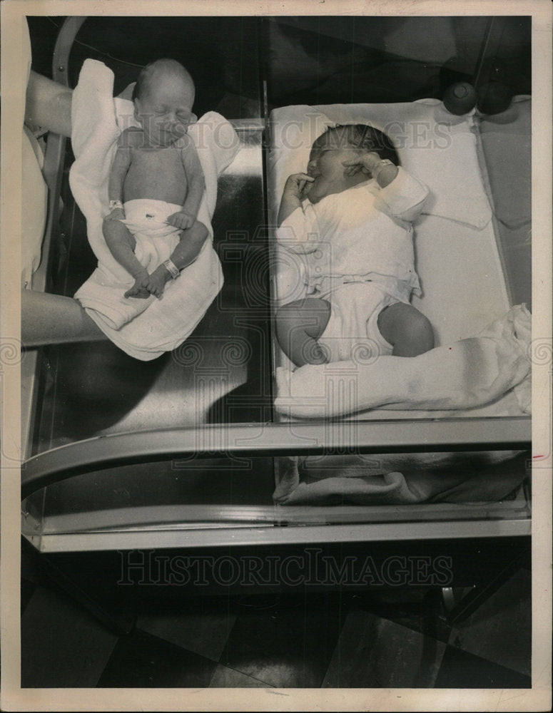 1959 Press Photo Premature Baby Compared To Full Term - Historic Images