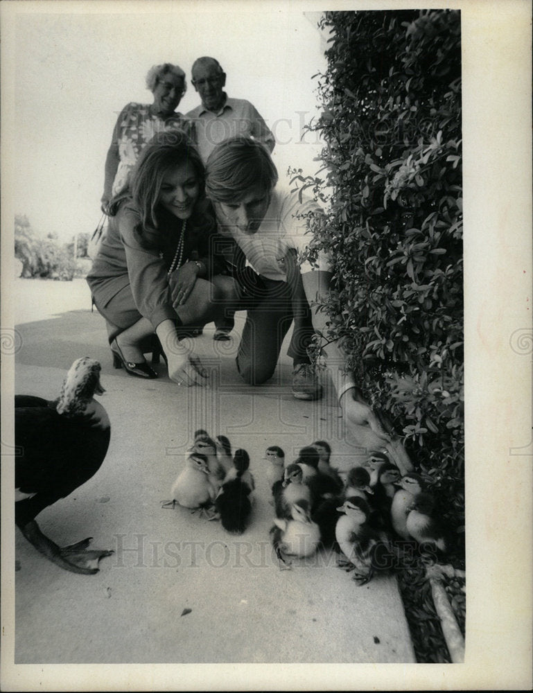 1972 Press Photo People Trying To Pet Ducklings - Historic Images