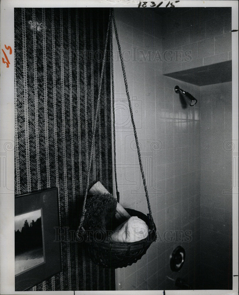 1979 Press Photo Hanging Basket Bathroom Shower - Historic Images