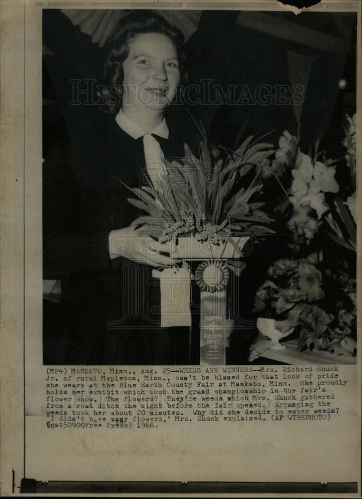 1966 Press Photo Blue Earth County Flower Show Winner - Historic Images