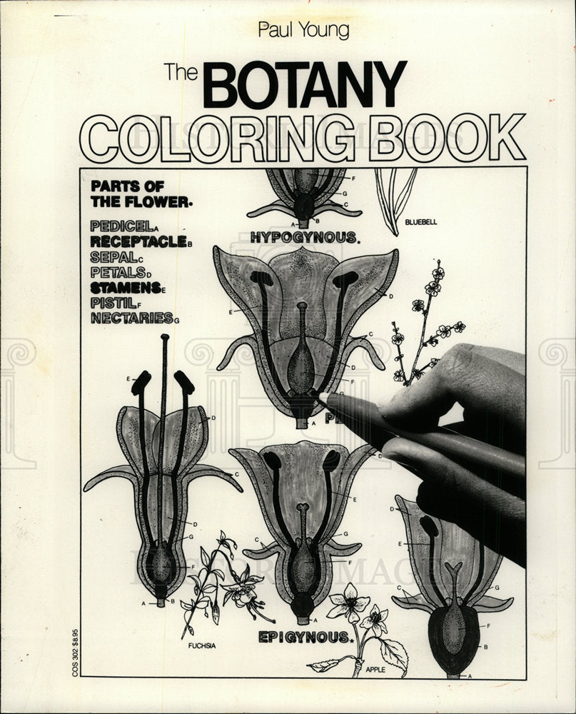 1982 Press Photo Botany Coloring Book Paul Young  - Historic Images
