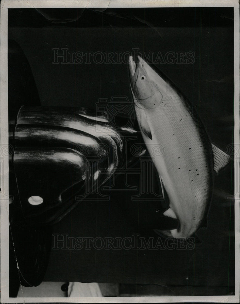 1982 Press Photo Salmon Decoration - Historic Images