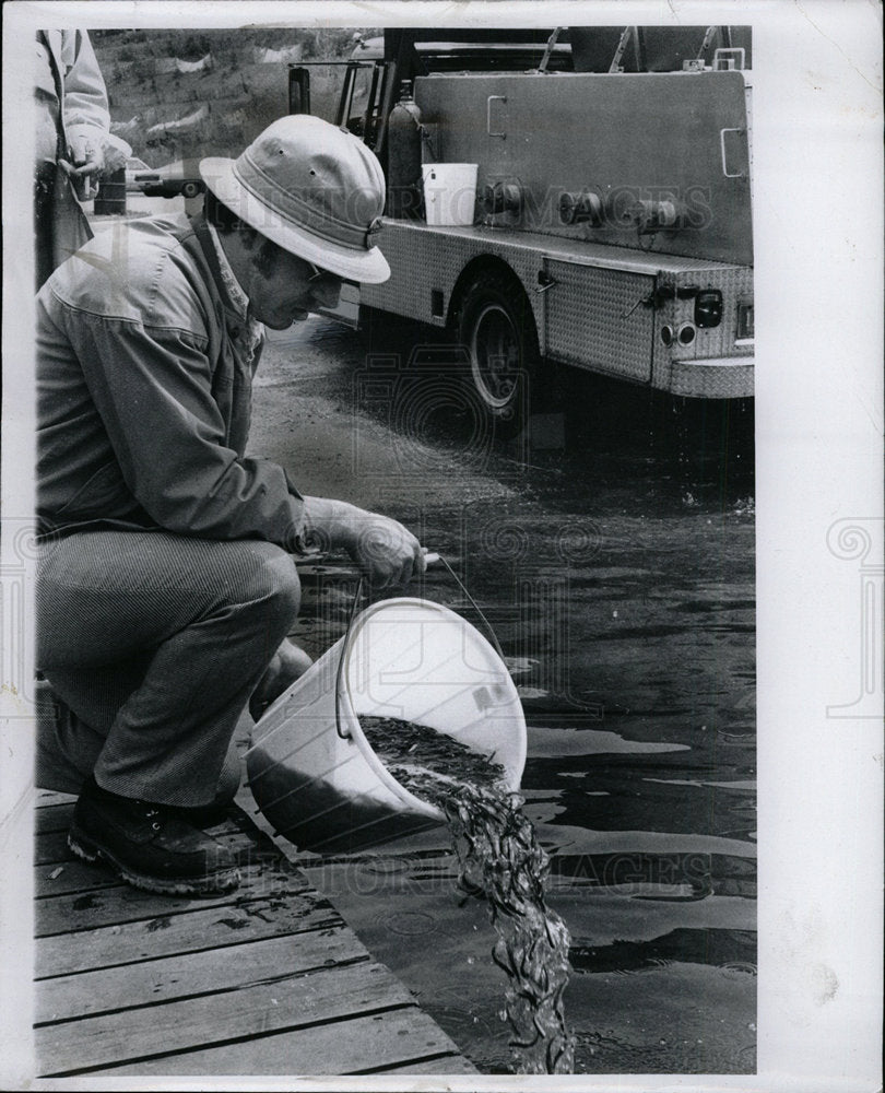1975 Press Photo Salmon dumped into Cass Lake - Historic Images