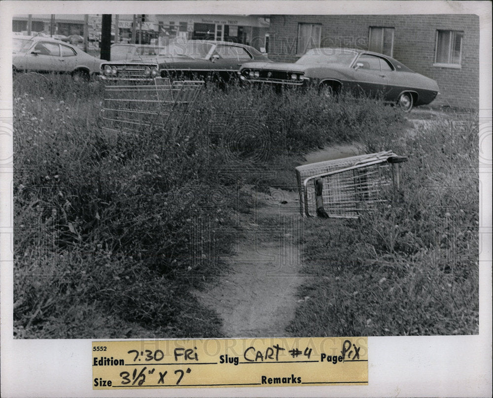 1973 Press Photo Abandoned Shopping Cart Michigan - Historic Images