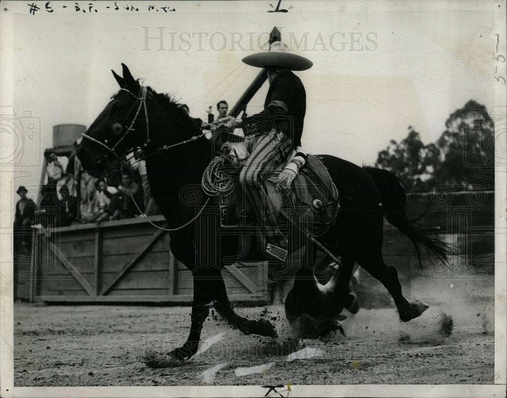 1940 Press Photo Rider Horse Steer Tailing Exhibit - Historic Images