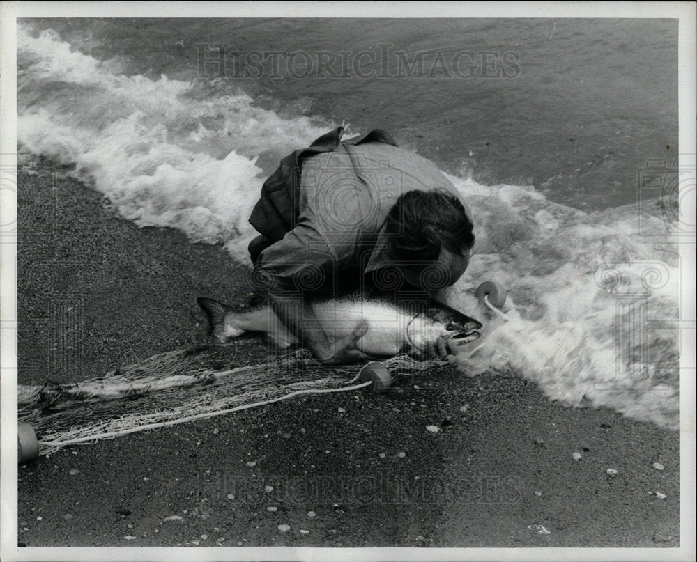 1972 Press Photo Tagging Chinook Salmon Lake Michigan - Historic Images