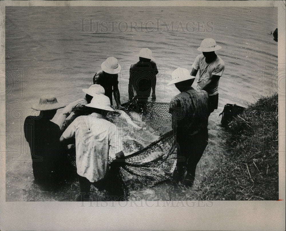 1974PressPhotoFishermen harvest large outcome in Canton - Historic Images