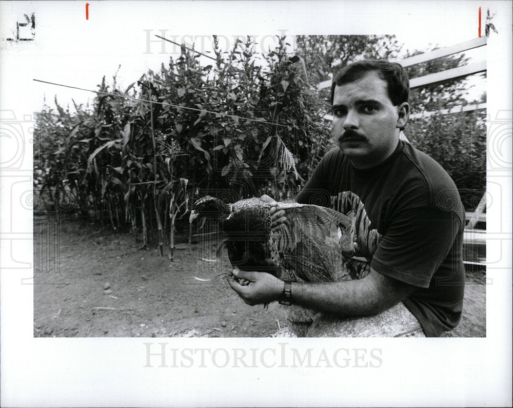 1991 Press Photo John Curcio pheasantsTaylor DNR home - Historic Images