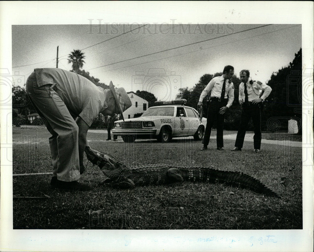 1980 Press Photo Tioga Avenue Alligator Trapping Mich - Historic Images