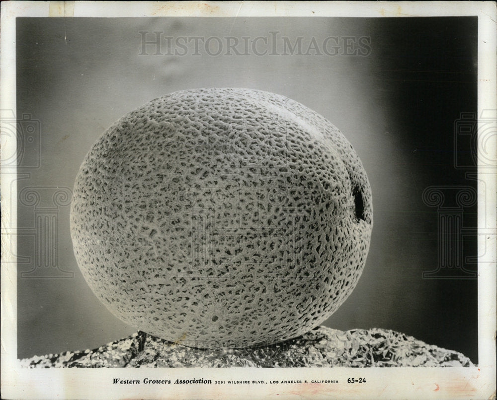 1970 Press Photo Ice cold cantaloupes hot weather menus - Historic Images