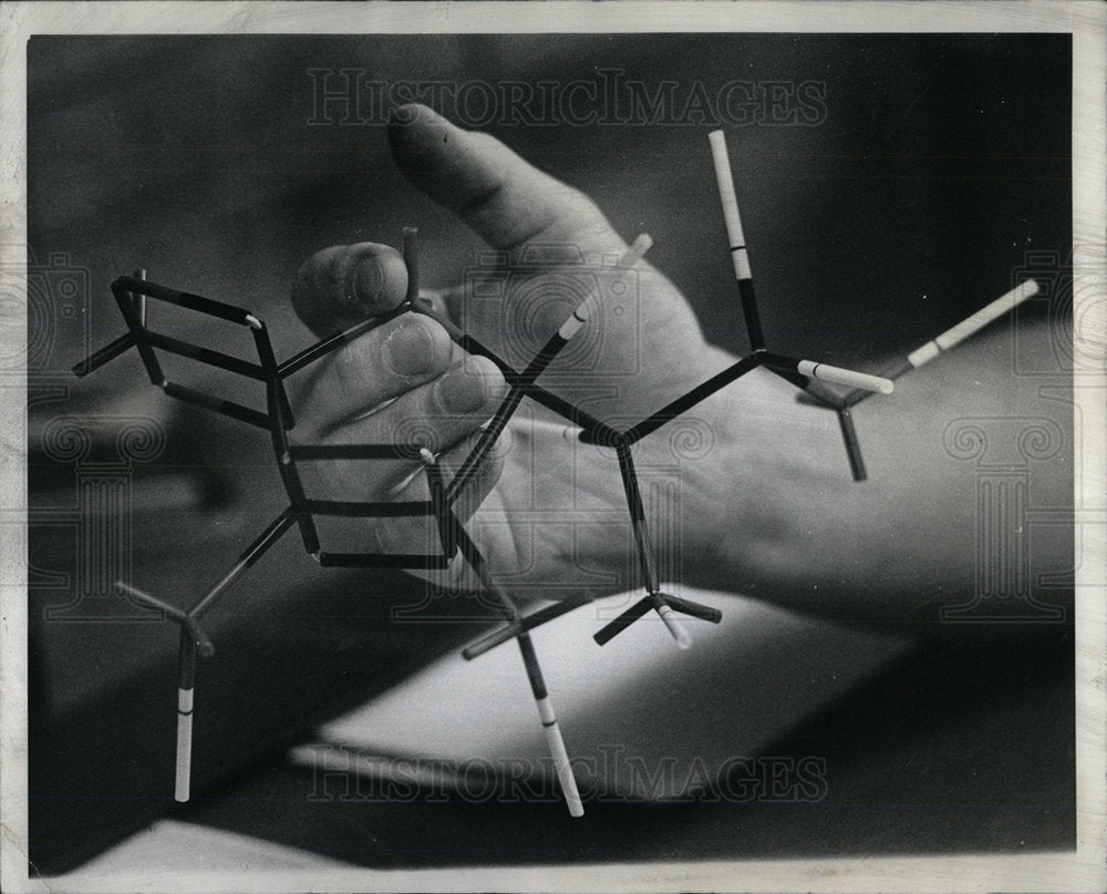1975 Press Photo Dr.R.Dowdy Holding Organic Molecule. - Historic Images