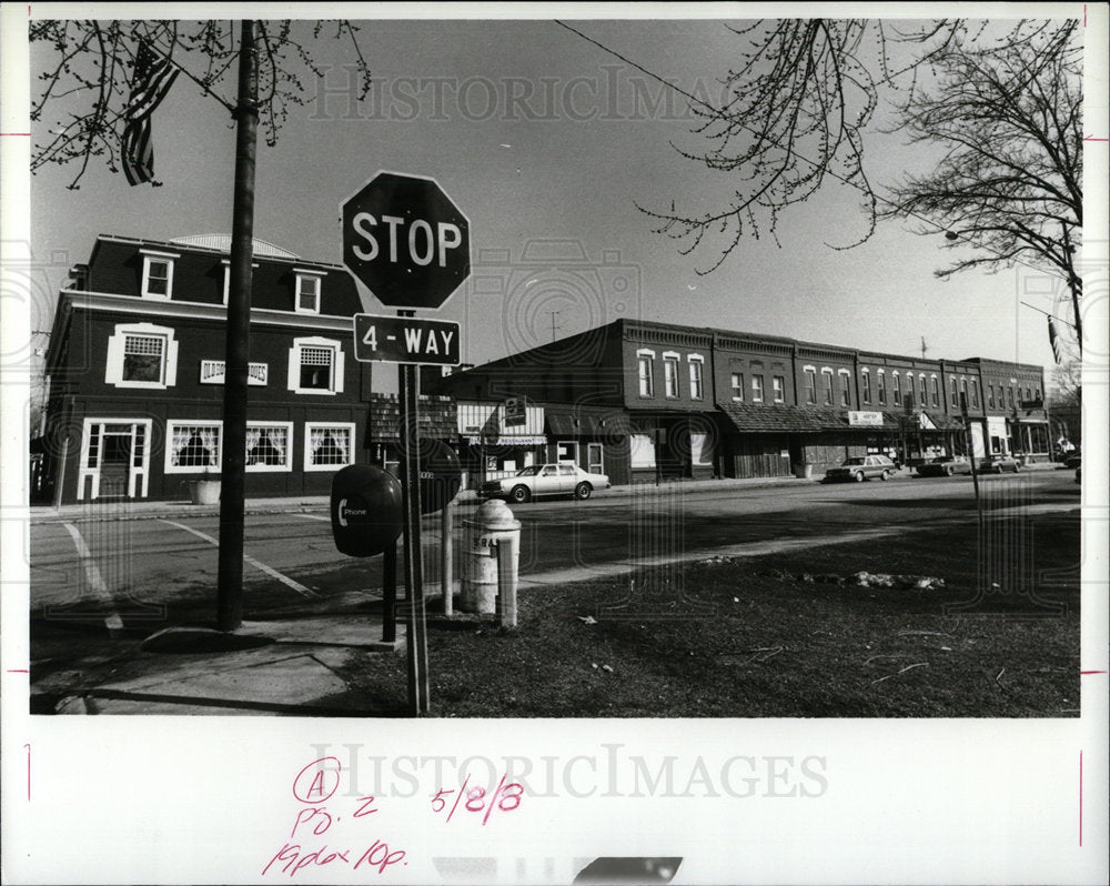 1988 Press Photo Downtown Stockbridge Town Square Pix  - Historic Images